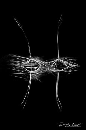Pappus Radiance