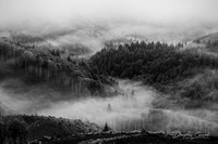 Foggy Valley