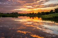 Evening Glow