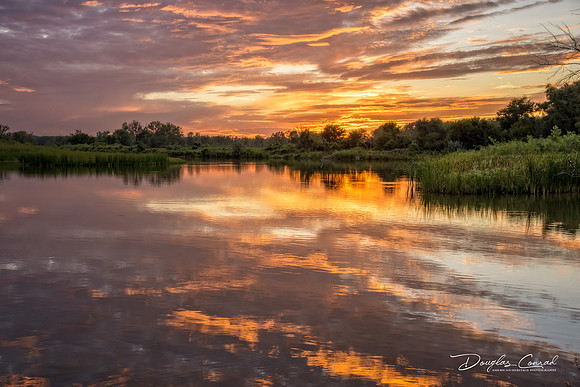 Evening Glow