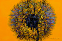 Neon Dandelion
