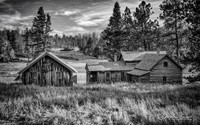 Abandoned Homstead