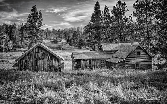 Abandoned Homstead