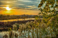 Golden Hour Sunset