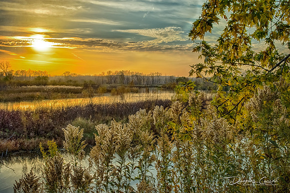 Golden Hour Sunset
