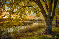 Golden Hour at Snyder Bend
