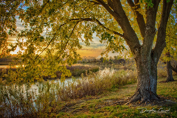Golden Hour at Snyder Bend