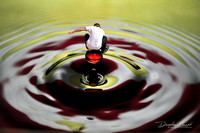 Ridin The Ripple