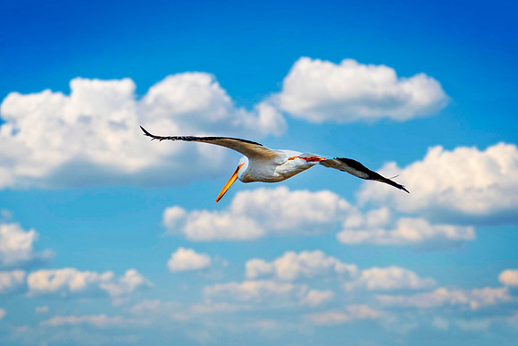 _7201020-Edit-Edit.jpg