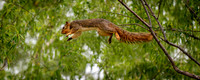 Z62_8501-Edit-Edit-Edit.jpg