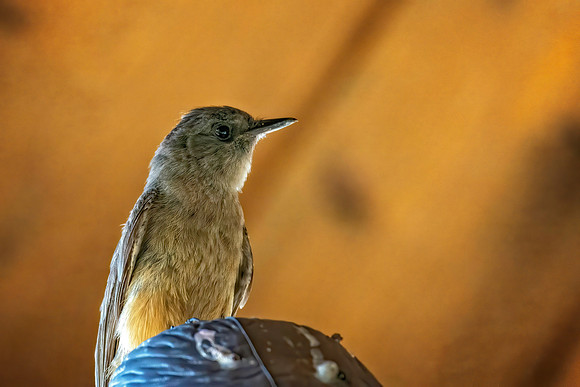 _7200993-Edit.jpg