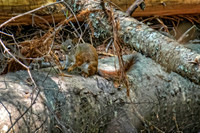 _7200180-Edit-Edit.jpg