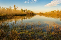 Snyder Bend October 2015