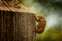 _DSC5361-Edit.jpg