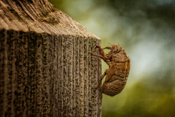 _DSC5361-Edit.jpg