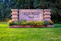 Z62_9402-Edit-Edit.JPG