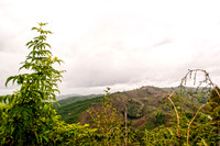 _DSC1550-Edit