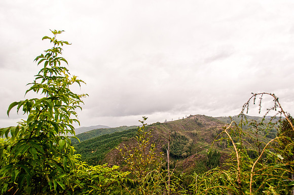 _DSC1550-Edit