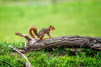 Z62_8573-Edit.jpg