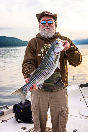 _7207151-Edit.jpg