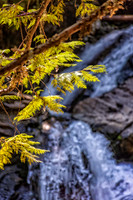 _7200198-HDR-Edit.jpg