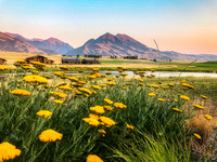 IMG_1203-Edit-2.jpg