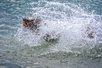 _7201124-Edit.jpg