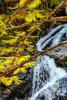 _7200204-HDR-Edit.jpg