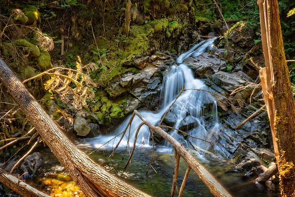 _7200217-Edit.jpg