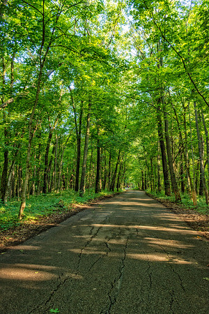 _DSC5372-Edit.jpg