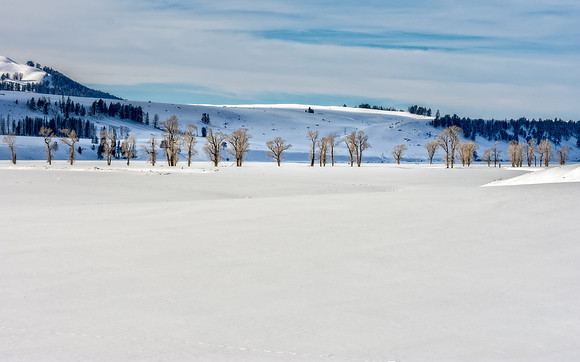 _DSC0656.jpg