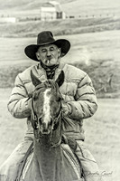 Mark Nelson