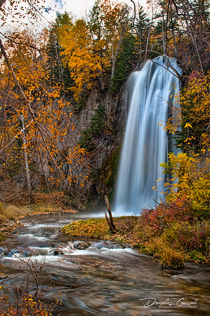 Autumn Falls