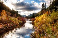 Fall Morning