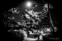 Path in Paradise