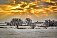 Winter Morning-3