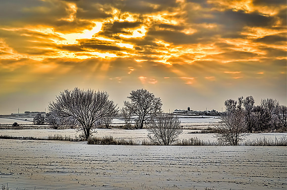 Winter Morning-3