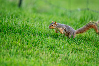 Z62_8562-Edit-Edit.jpg