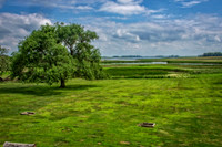_7203833-Edit.jpg
