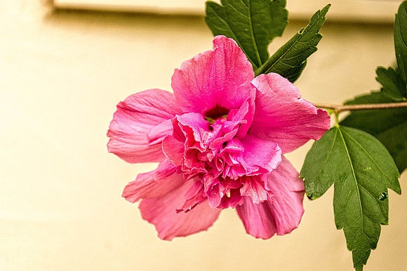_DSC6555-Edit.jpg