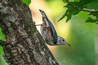 _7207109-Edit.jpg