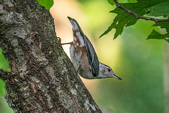 _7207109-Edit.jpg