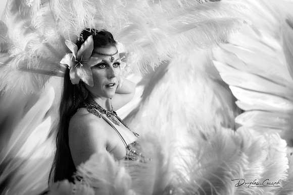 Feathering