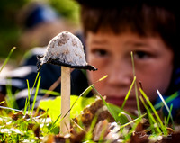Grandpa, Is That Mushroom Poisonous