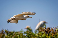 _7204695-Edit.jpg