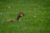 Z62_8381-Edit.jpg