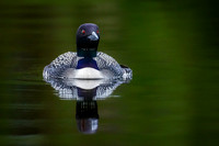 720_5700-Edit-2-Edit.jpg