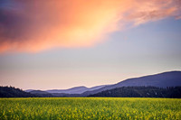_7200353-HDR-Edit-Edit.jpg