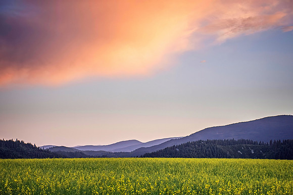 _7200353-HDR-Edit-Edit.jpg