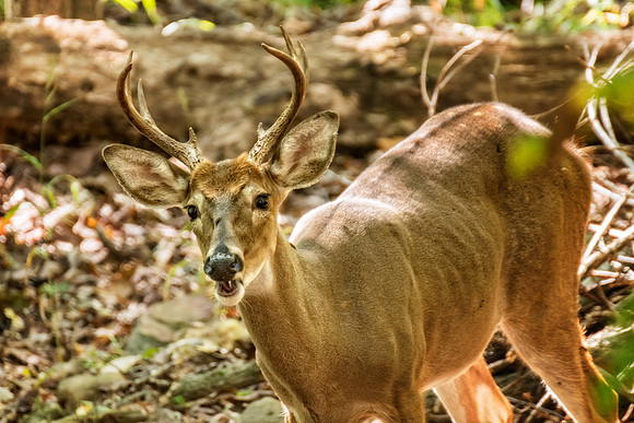 _DSC7410-Edit.jpg
